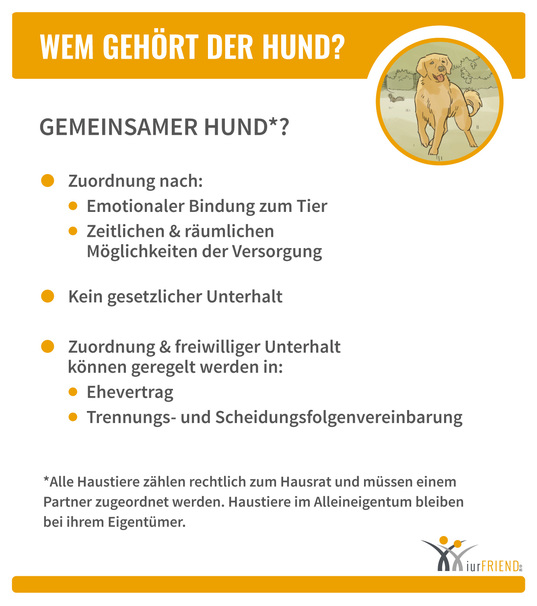 Da Ihr Hund oder Ihre Katze bei einer Scheidung wie Hausrat behandelt wird,  sollten Sie an dessen Wohl denken.