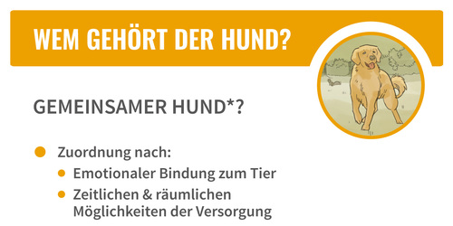 Können Sie und Ihr Ehegatte sich nicht einigen, so entscheidet das Gericht wer von Ihnen beiden Ihren Hund bekommt.